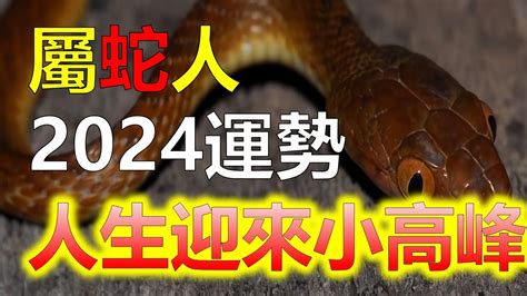 屬蛇運勢|2024屬蛇幾歲、2024屬蛇運勢、幸運色、財位、禁忌